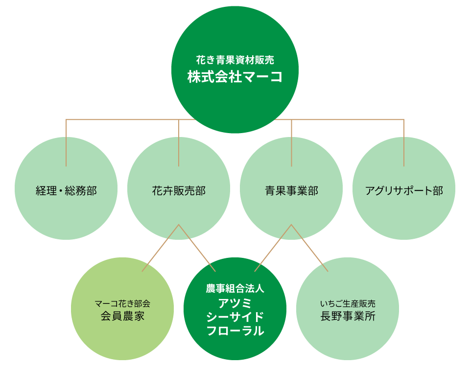 組織図